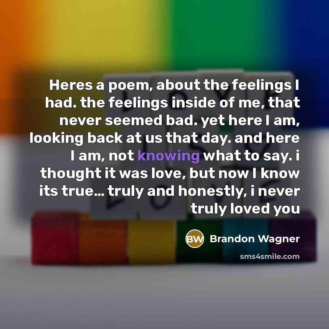 “Heres a poem, about the feelings I had. the feelings…” quote by Brandon Wagner