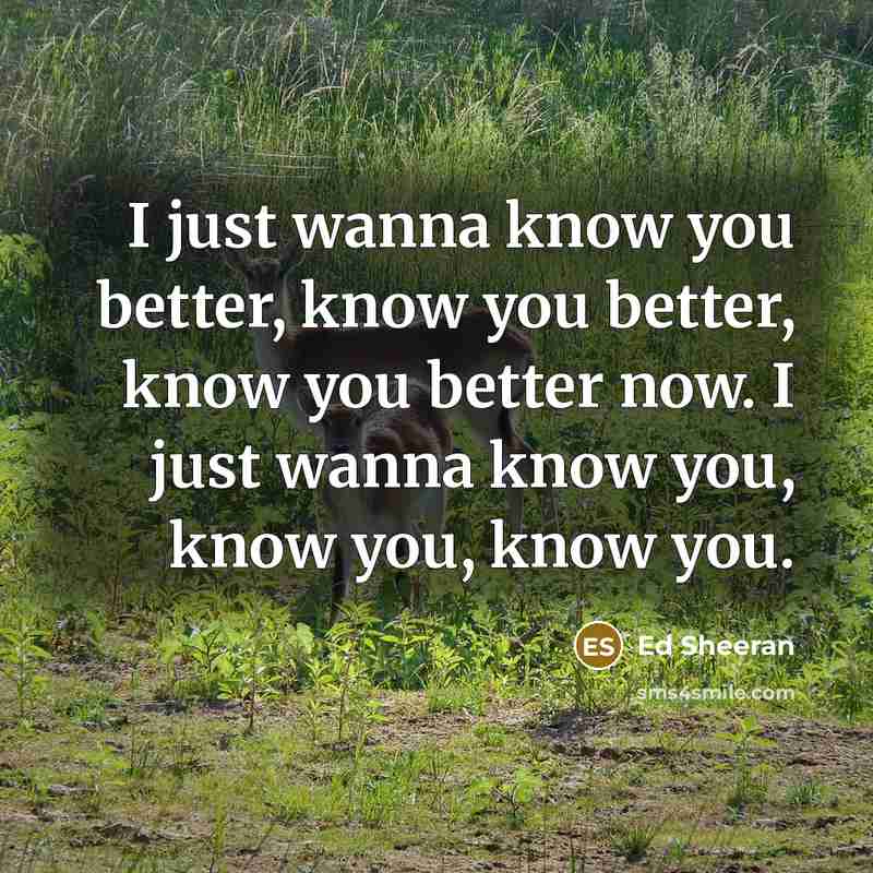 “I just wanna know you better, know you better, know…” quote by Ed Sheeran
