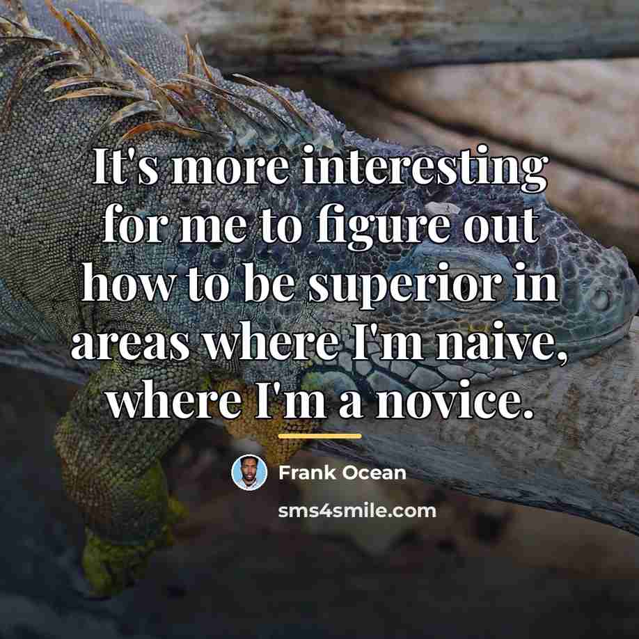 “It's more interesting for me to figure out how to…” quote by Frank Ocean