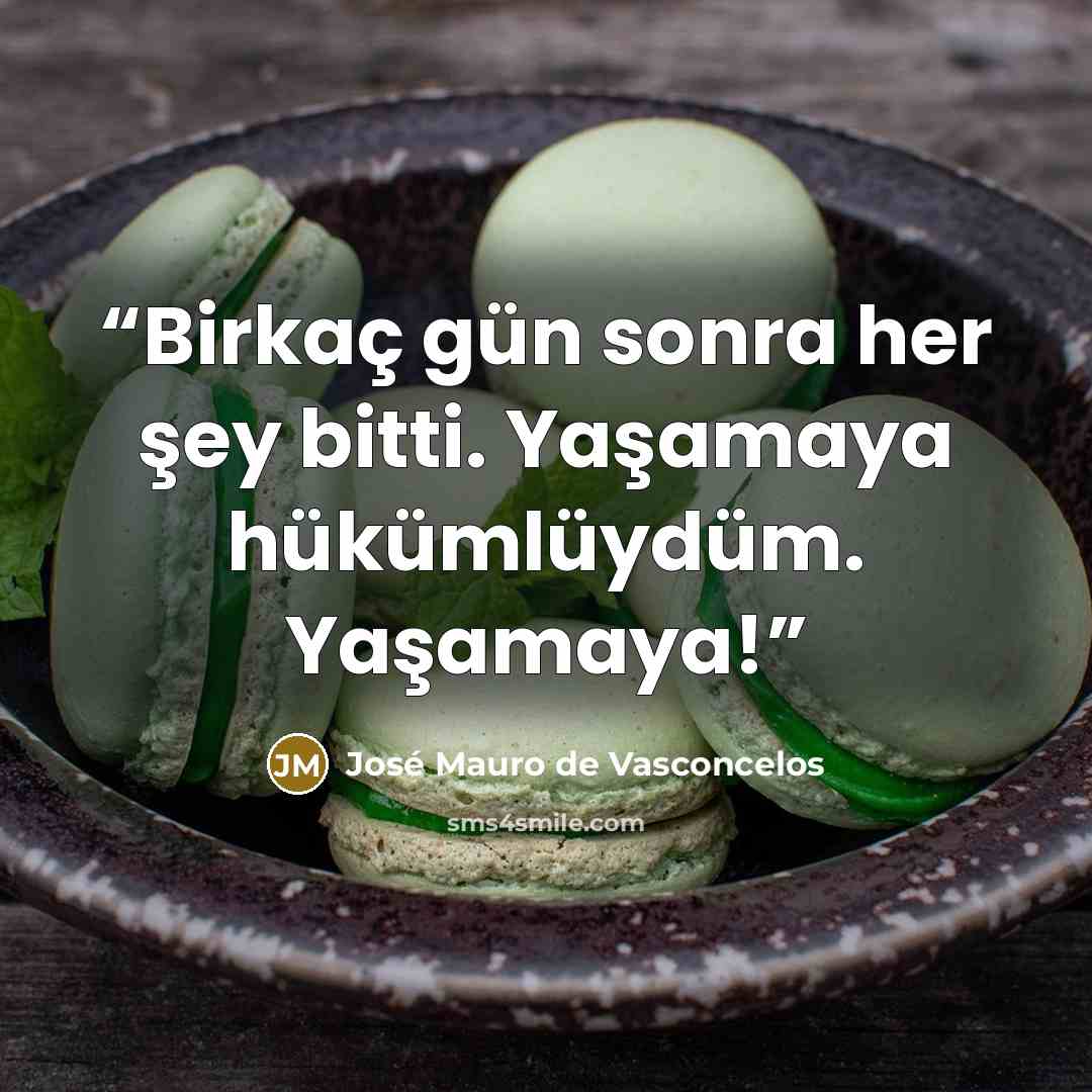 “Birkaç gün sonra her şey bitti. Yaşamaya hükümlüydüm. Yaşamaya!” quote by José Mauro de Vasconcelos