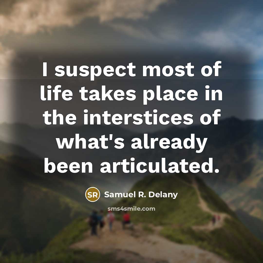 “I suspect most of life takes place in the interstices…” quote by Samuel R. Delany