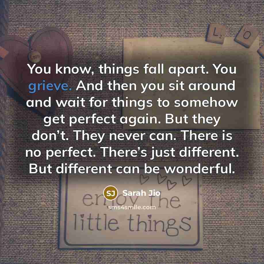 “You know, things fall apart. You grieve. And then you…” quote by Sarah Jio