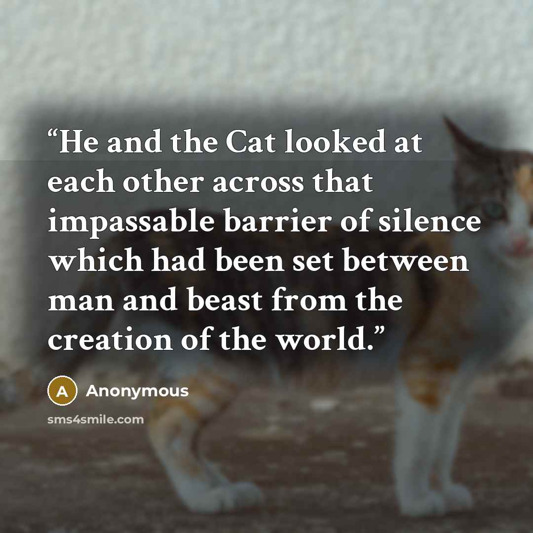 “He and the Cat looked at each other across that impassable barrier of silence which had been set between man and beast from the creation of the world.” quote by Anonymous