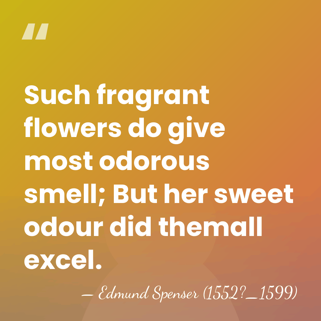 Such fragrant flowers do give most odorous smell; But her sweet odour&hellip; - Edmund Spenser (1552?_1599)