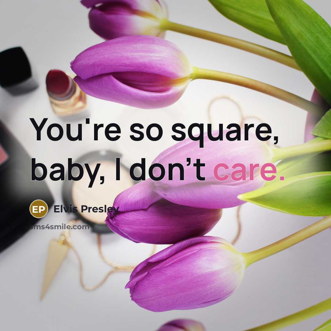 “You're so square, baby, I don't care.…” quote by Elvis Presley
