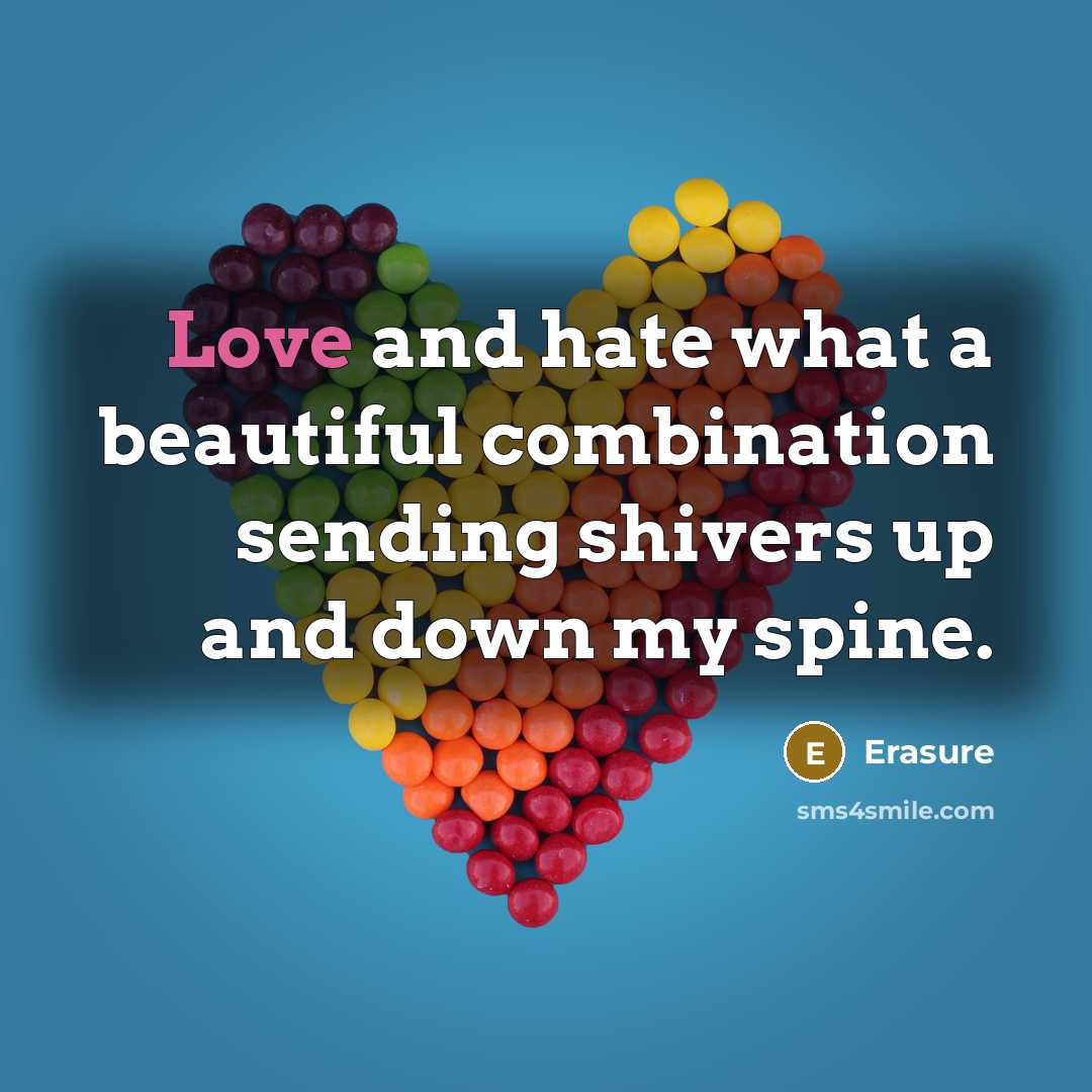 “Love and hate what a beautiful combination sending shivers up…” quote by Erasure