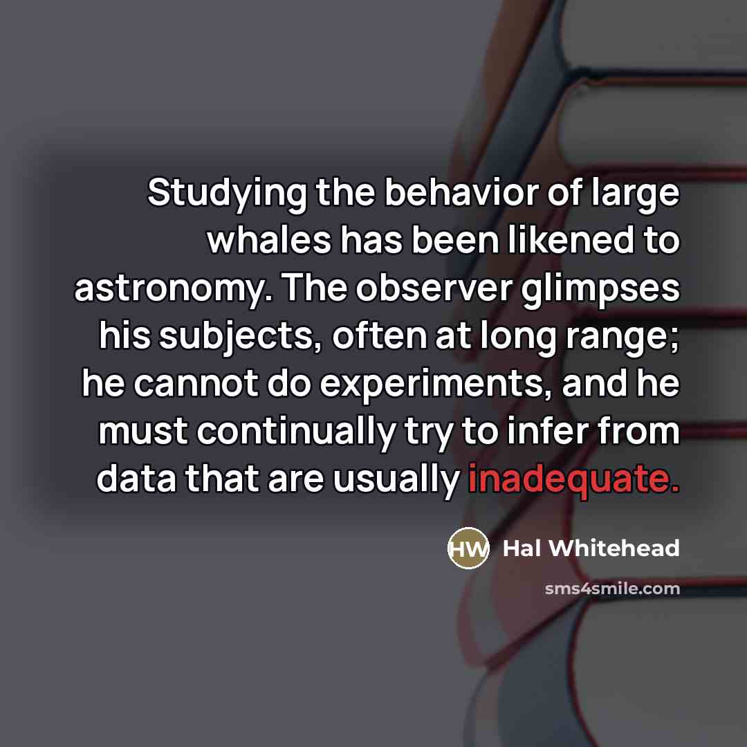 “Studying the behavior of large whales has been likened to…” quote by Hal Whitehead