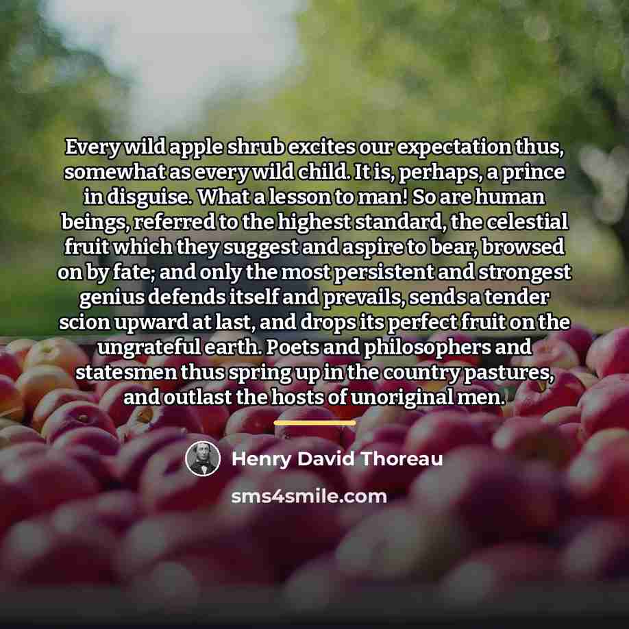 “Every wild apple shrub excites our expectation thus, somewhat as…” quote by Henry David Thoreau