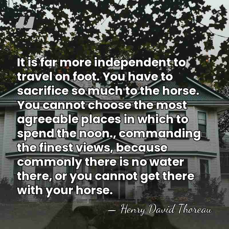 It is far more independent to travel on foot. You have to&hellip; - Henry David Thoreau