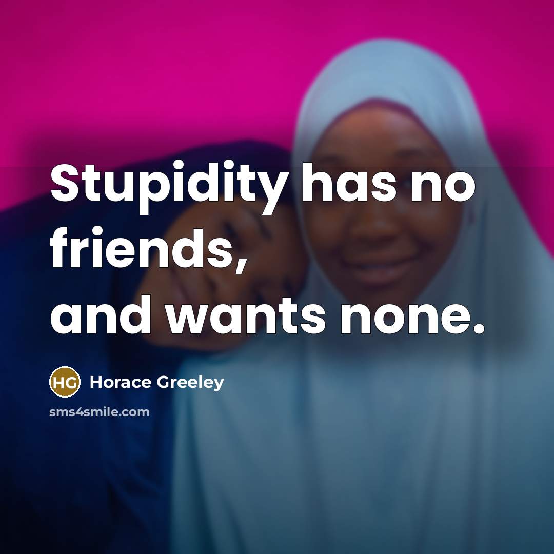 “Stupidity has no friends, and wants none.…” quote by Horace Greeley
