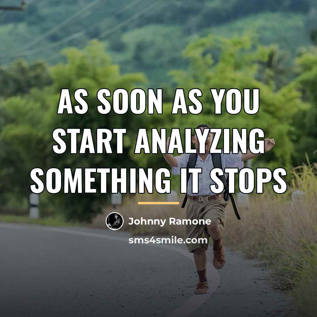 “As soon as you start analyzing something it stops…” quote by Johnny Ramone