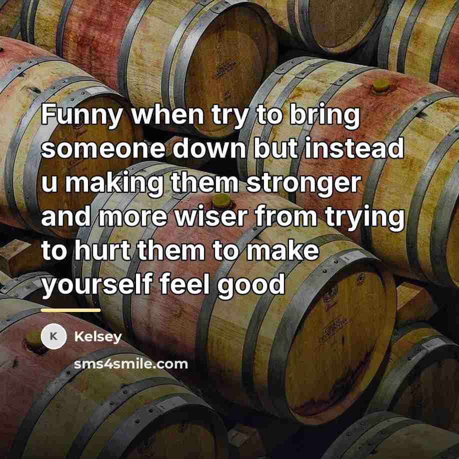 “Funny when try to bring someone down but instead u…” quote by Kelsey