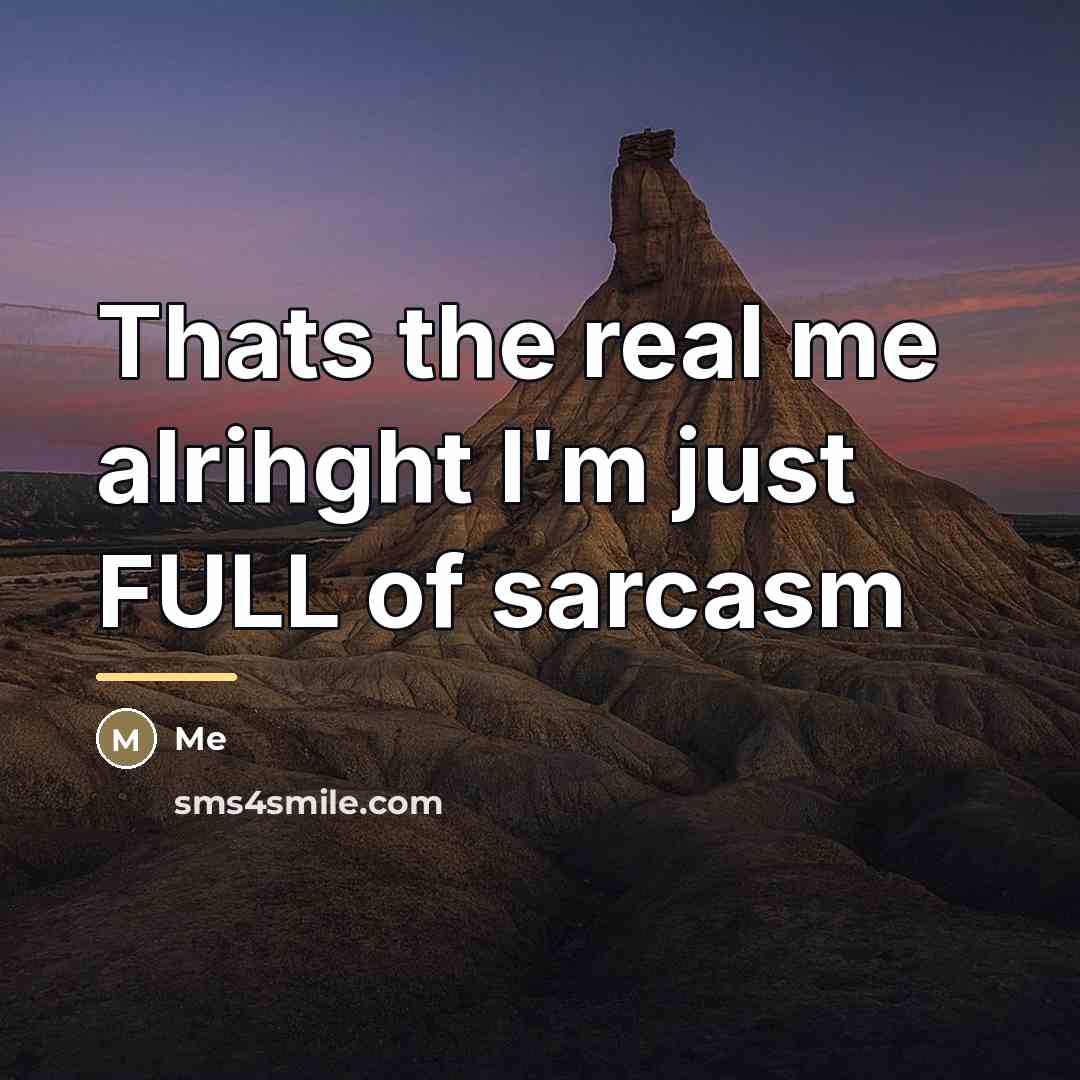“Thats the real me alrihght I'm just FULL of sarcasm…” quote by Me