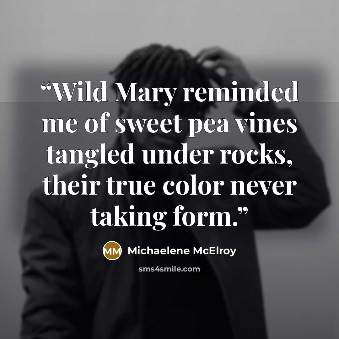 “Wild Mary reminded me of sweet pea vines tangled under rocks, their true color never taking form.” quote by Michaelene McElroy