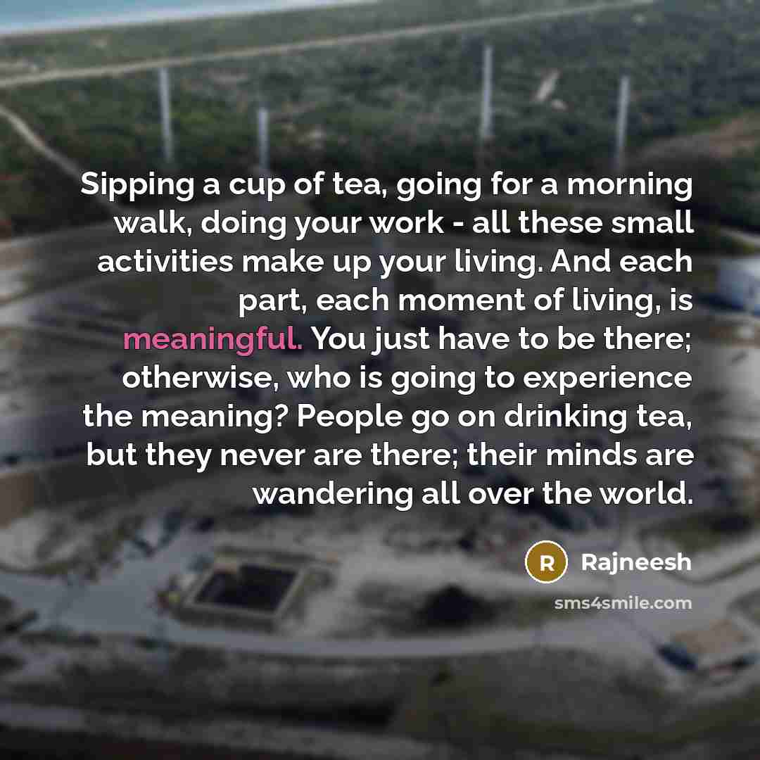 “Sipping a cup of tea, going for a morning walk,…” quote by Rajneesh