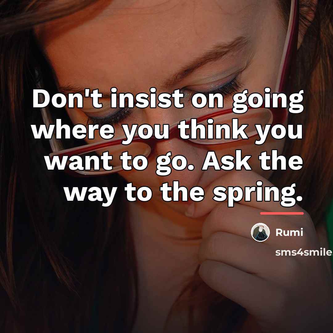 “Don't insist on going where you think you want to…” quote by Rumi