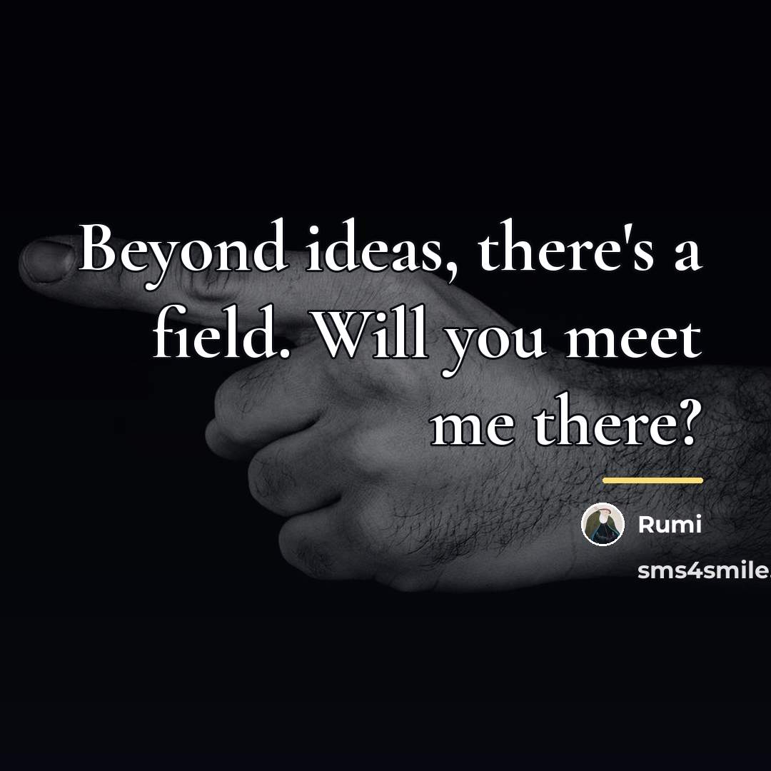 “Beyond ideas, there's a field. Will you meet me there?…” quote by Rumi
