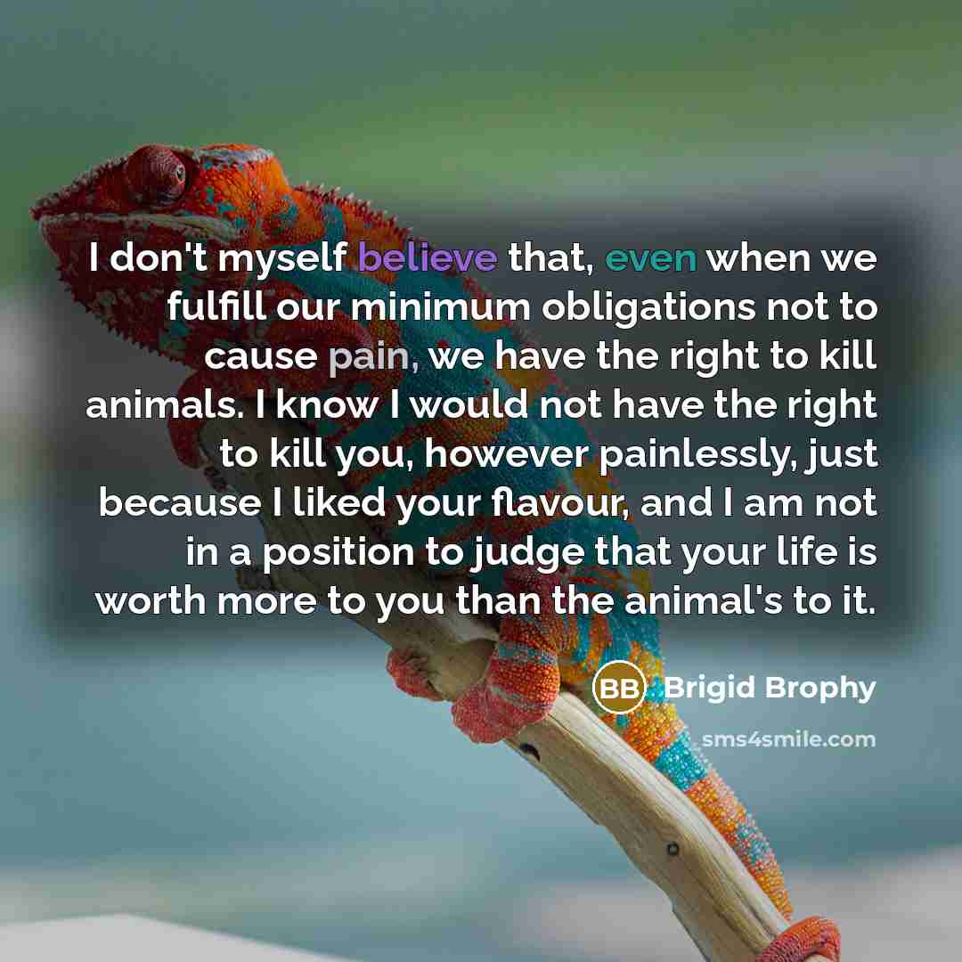 “I don't myself believe that, even when we fulfill our…” quote by Brigid Brophy