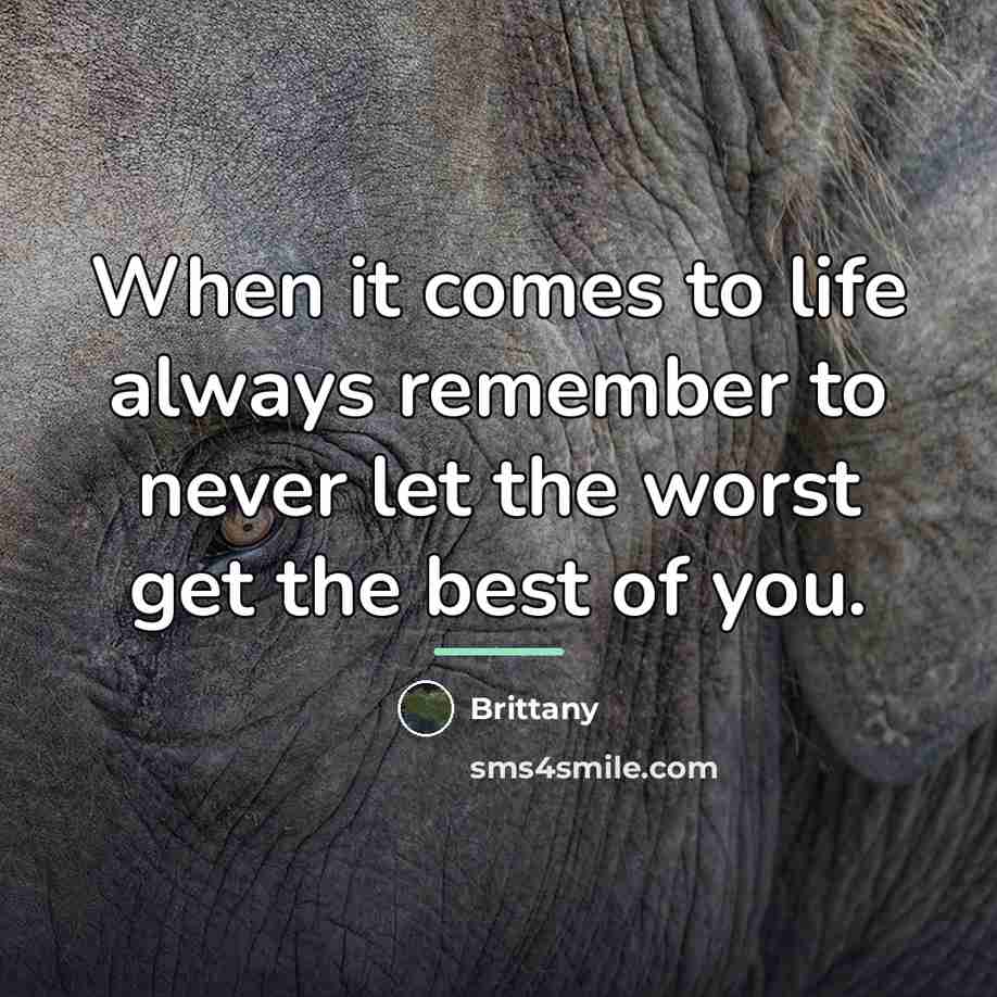 “When it comes to life always remember to never let…” quote by Brittany