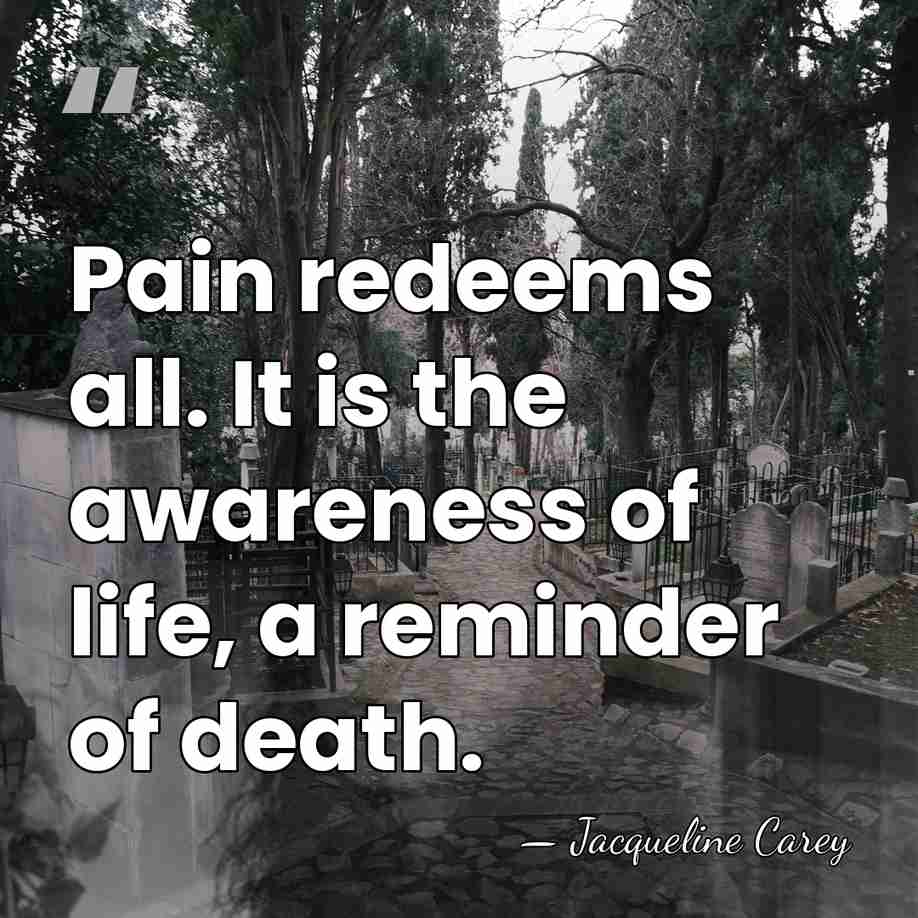 Pain redeems all. It is the awareness of life, a reminder of&hellip; - Jacqueline Carey