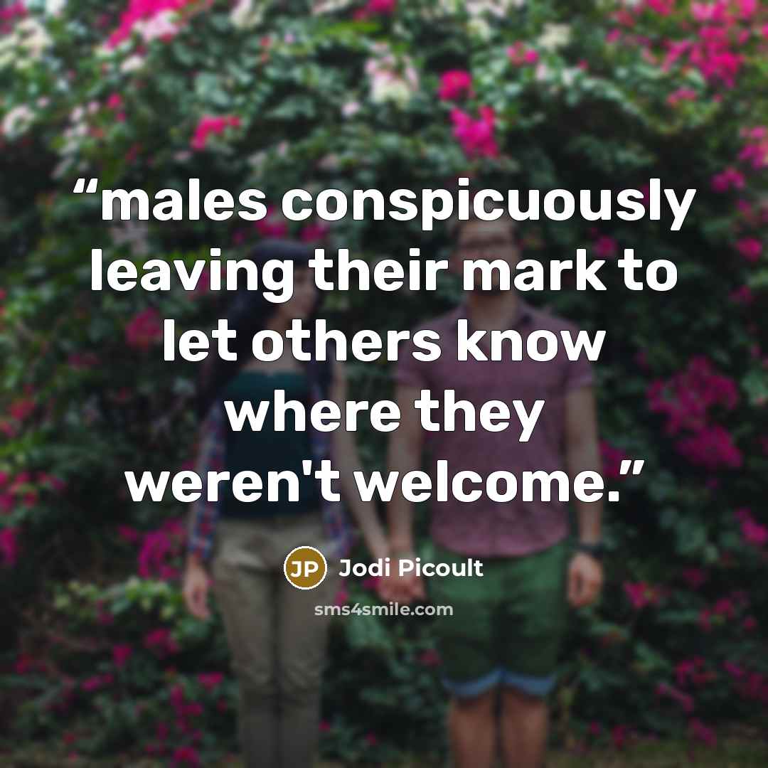 “males conspicuously leaving their mark to let others know where they weren't welcome.” quote by Jodi Picoult