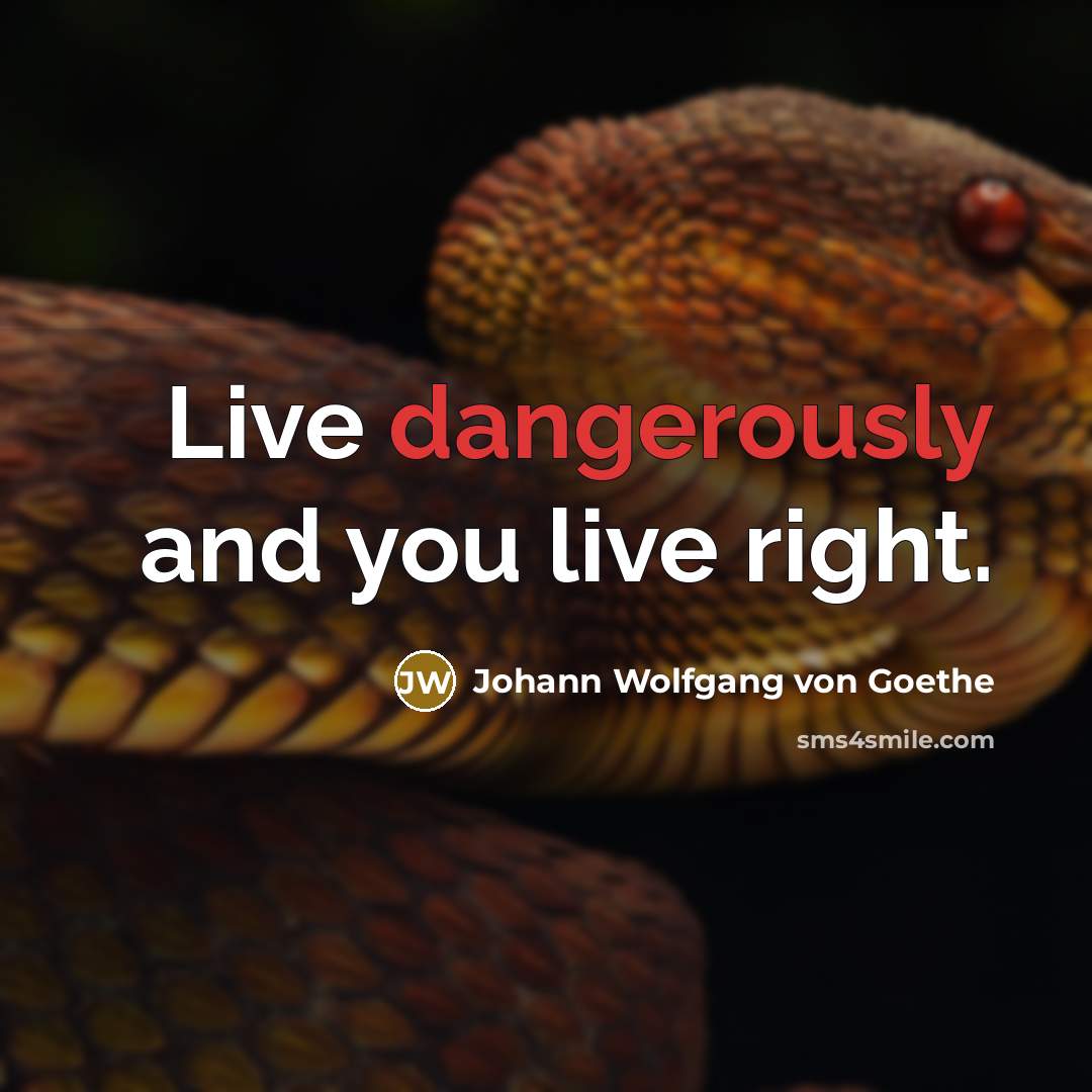 “Live dangerously and you live right.…” quote by Johann Wolfgang von Goethe