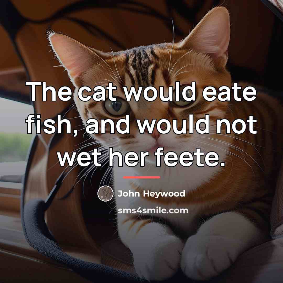 “The cat would eate fish, and would not wet her…” quote by John Heywood