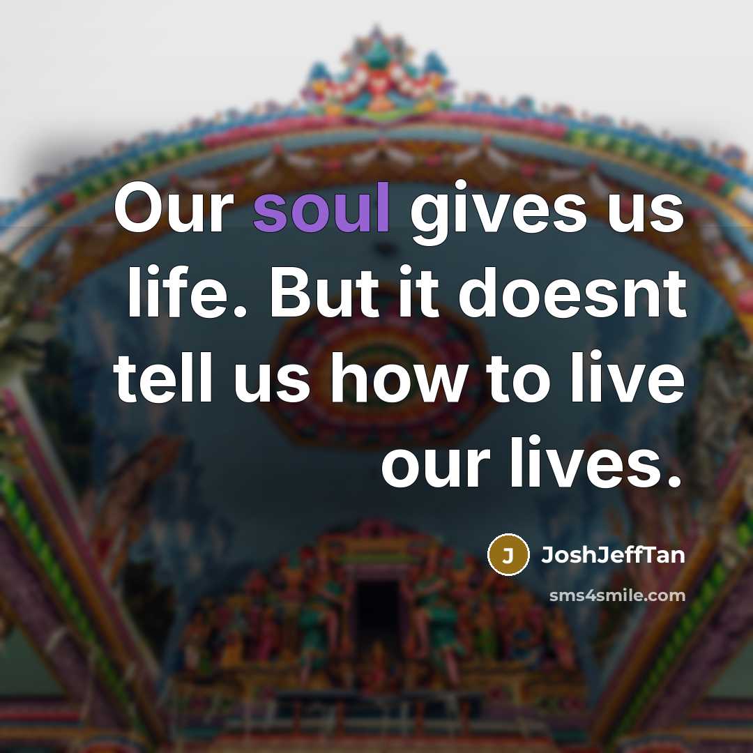 “Our soul gives us life. But it doesnt tell us…” quote by JoshJeffTan