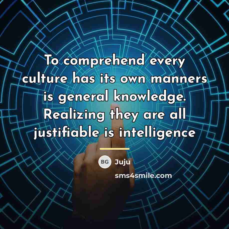 “To comprehend every culture has its own manners is general…” quote by Juju