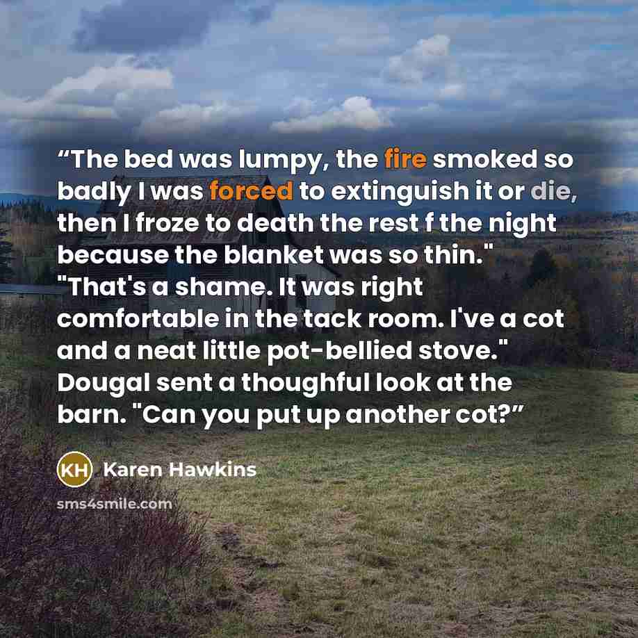 “The bed was lumpy, the fire smoked so badly I was forced to extinguish it or die, then I froze to death the rest f the night because the blanket was so thin." "That's a shame. It was right comfortable in the tack room. I've a cot and a neat little pot-bellied stove." Dougal sent a thoughful look…” quote by Karen Hawkins