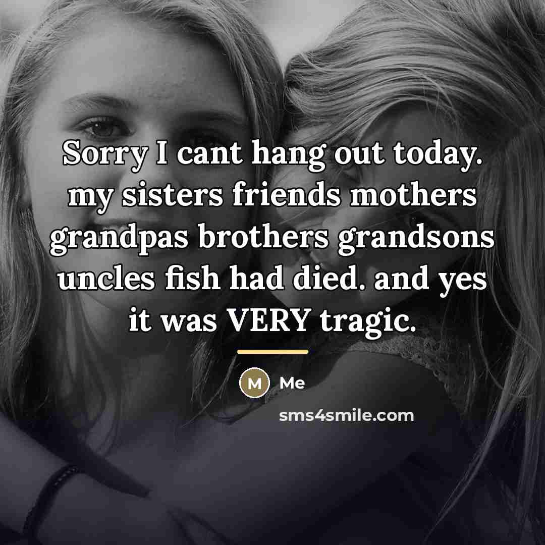 “Sorry I cant hang out today. my sisters friends mothers…” quote by Me