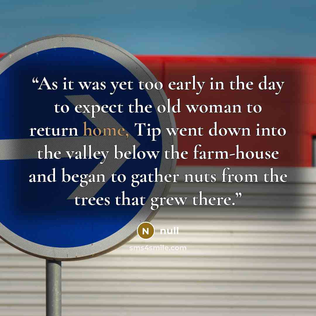 “As it was yet too early in the day to expect the old woman to return home, Tip went down into the valley below the farm-house and began to gather nuts from the trees that grew there.” quote by null