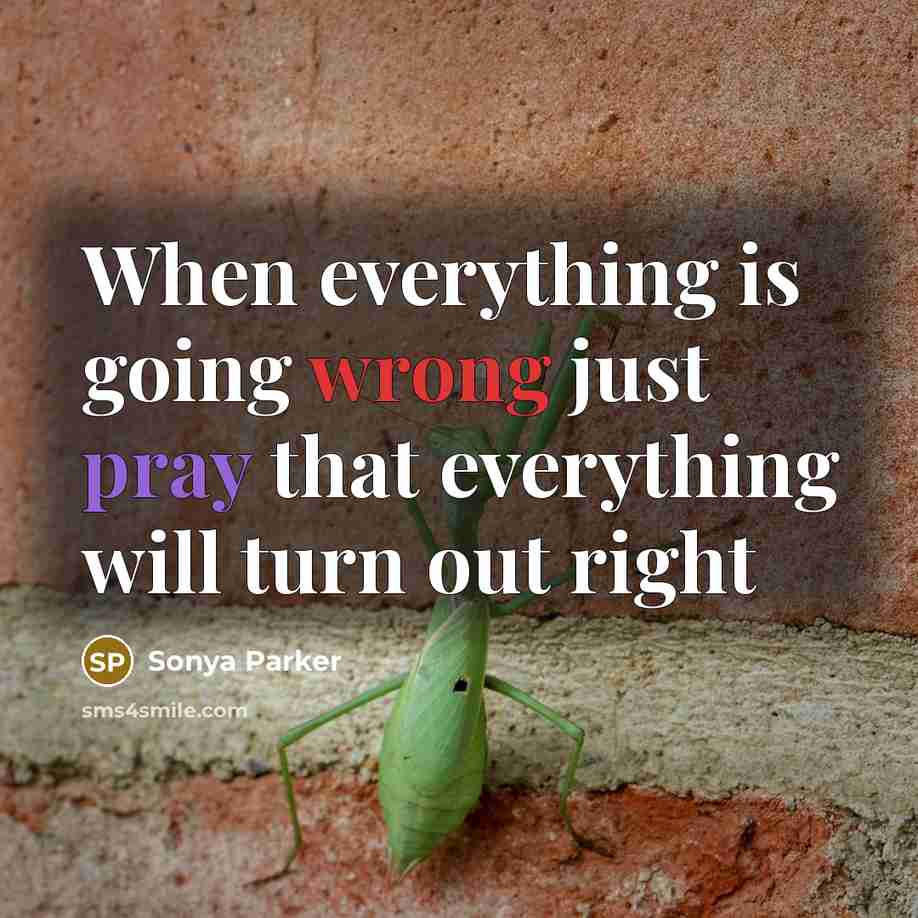 “When everything is going wrong just pray that everything will turn out right” quote by SONYA PARKER