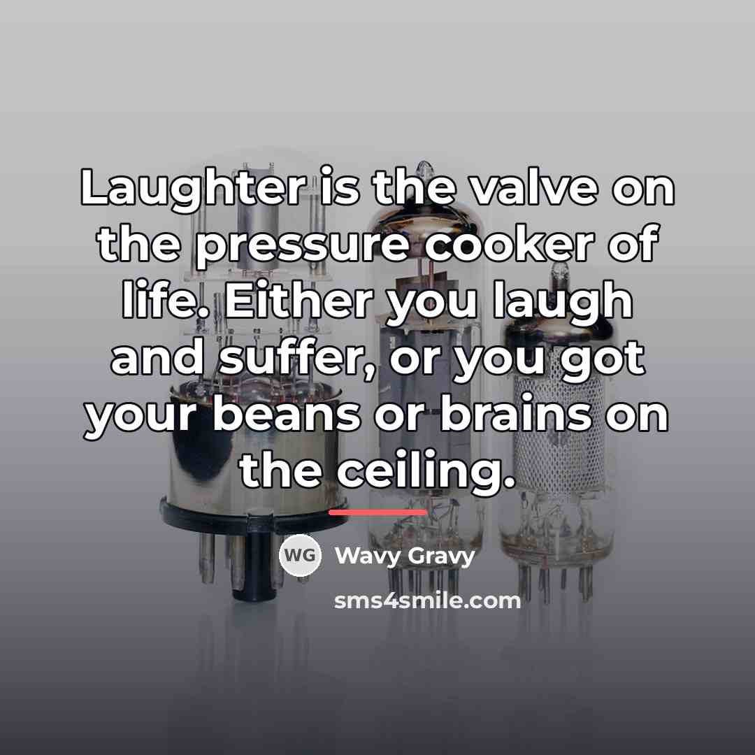 “Laughter is the valve on the pressure cooker of life.…” quote by Wavy Gravy