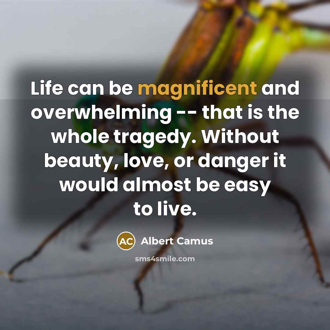 “Life can be magnificent and overwhelming -- that is the…” quote by Albert Camus