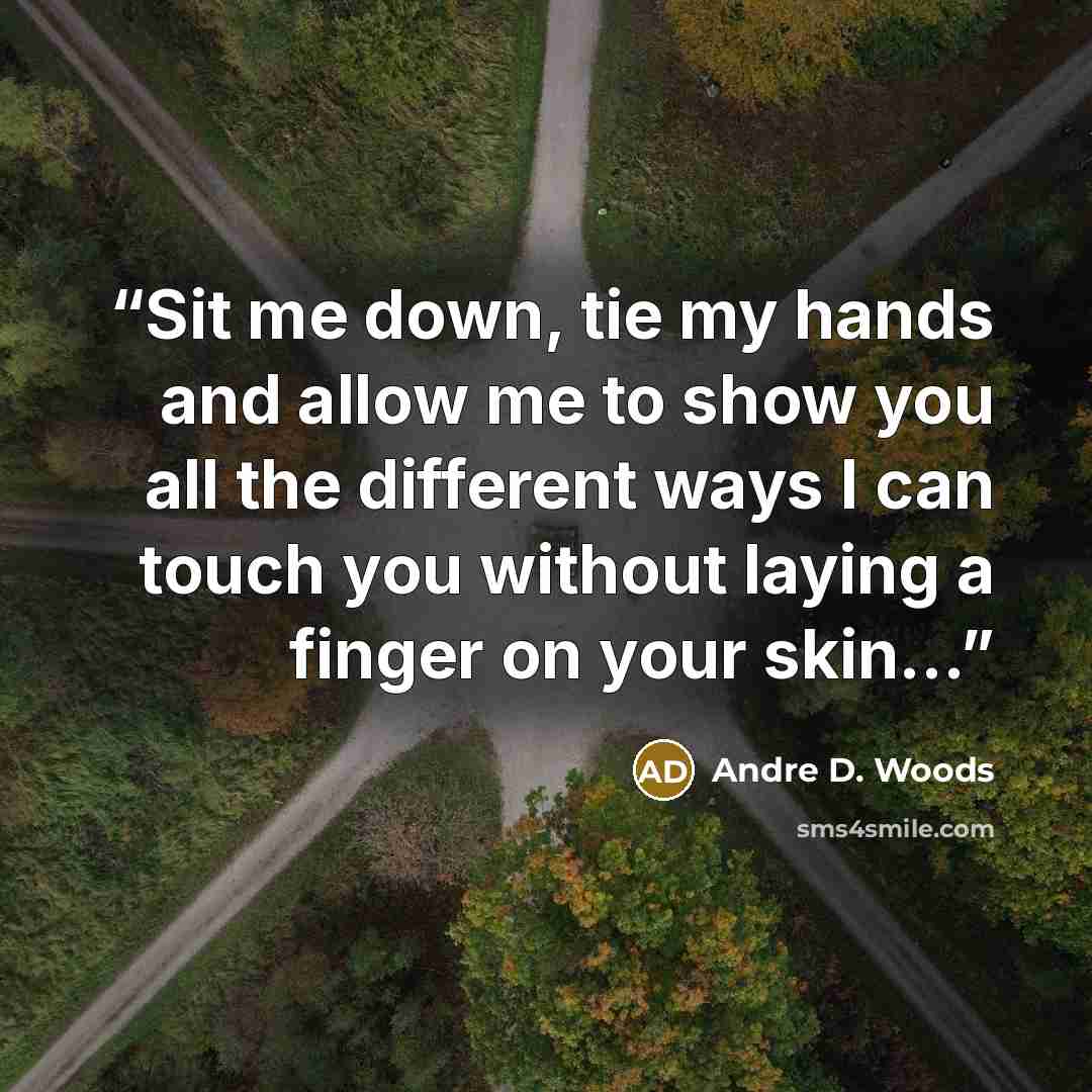 “Sit me down, tie my hands and allow me to show you all the different ways I can touch you without laying a finger on your skin...” quote by Andre D. Woods