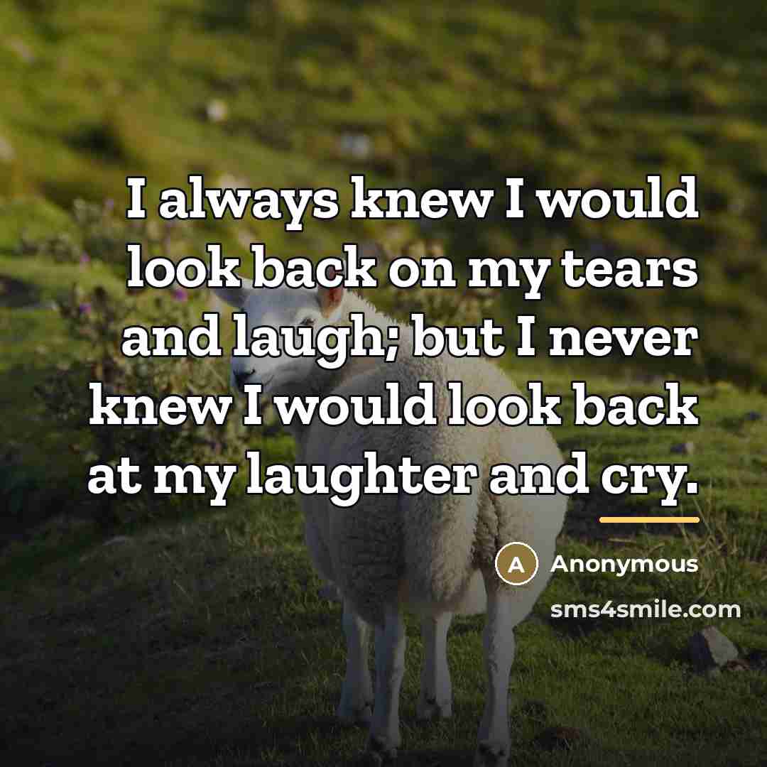 “I always knew I would look back on my tears…” quote by Anonymous