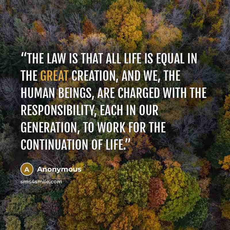 “The law is that all life is equal in the Great Creation, and we, the Human Beings, are charged with the responsibility, each in our generation, to work for the continuation of life.” quote by Anonymous
