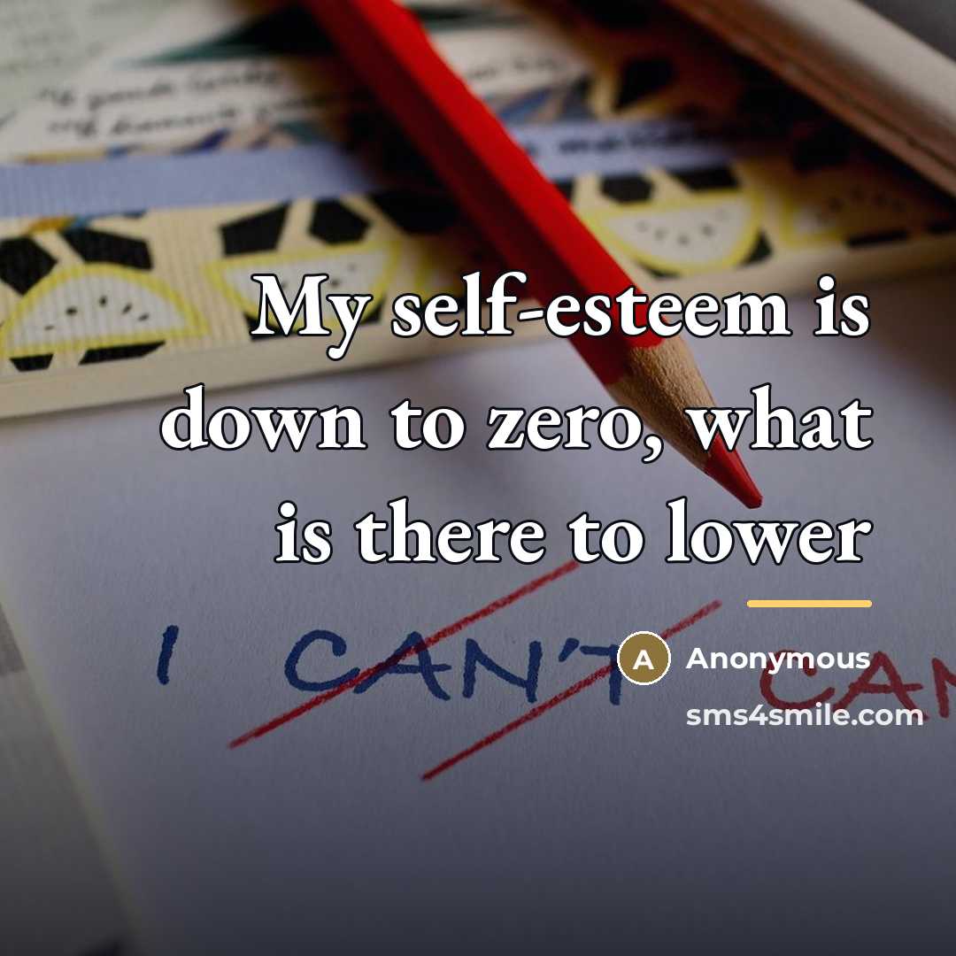 “My self-esteem is down to zero, what is there to…” quote by Anonymous