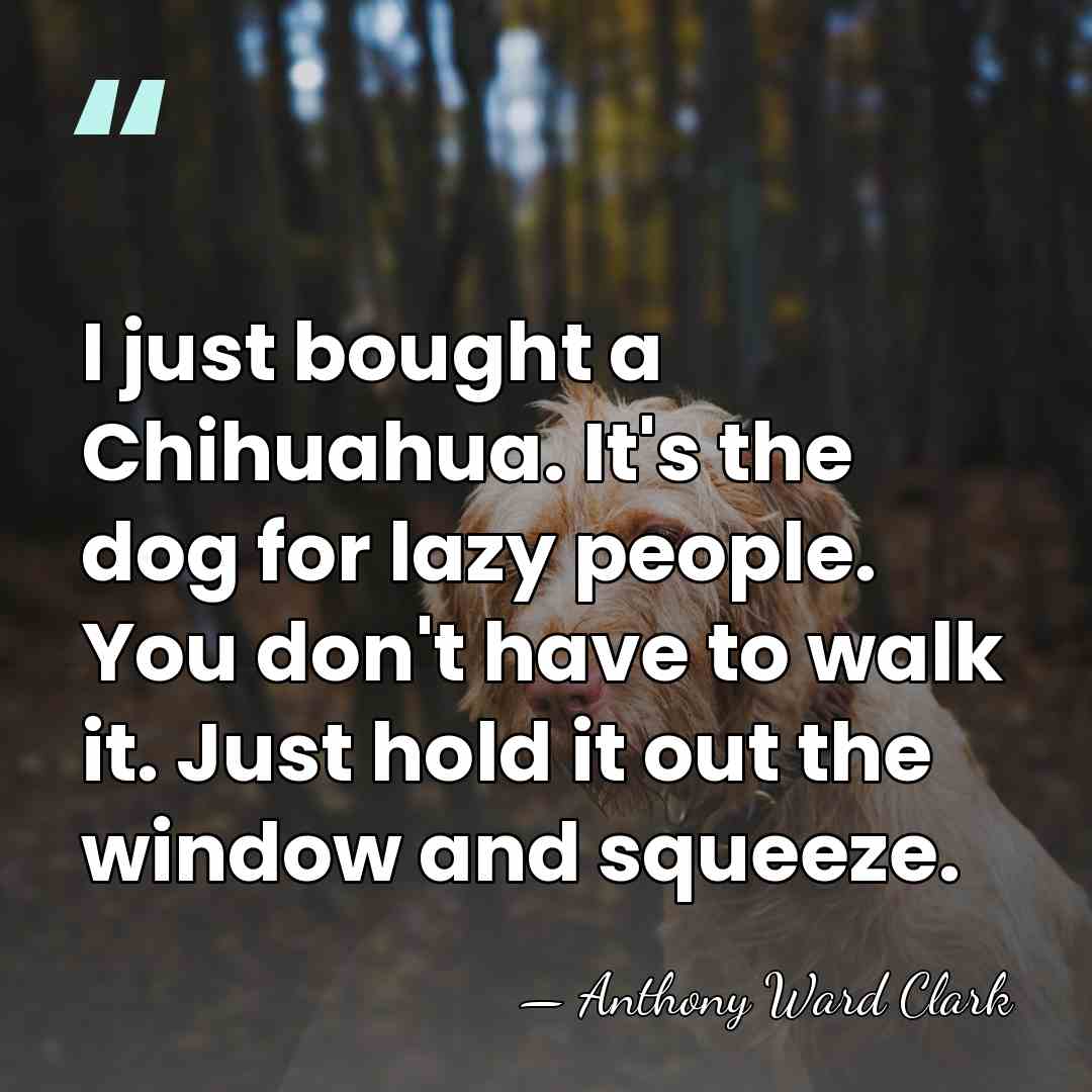 I just bought a Chihuahua. It's the dog for lazy people. You&hellip; - Anthony Ward Clark