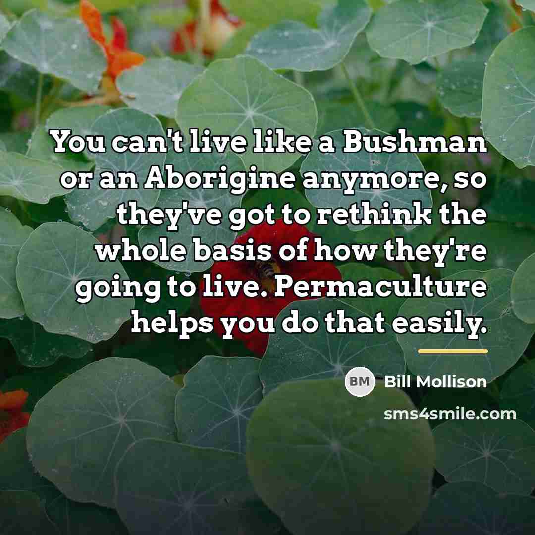 “You can't live like a Bushman or an Aborigine anymore,…” quote by Bill Mollison