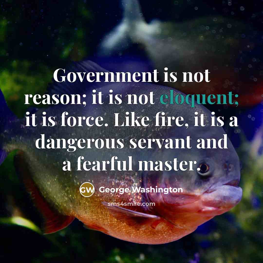 “Government is not reason; it is not eloquent; it is…” quote by George Washington