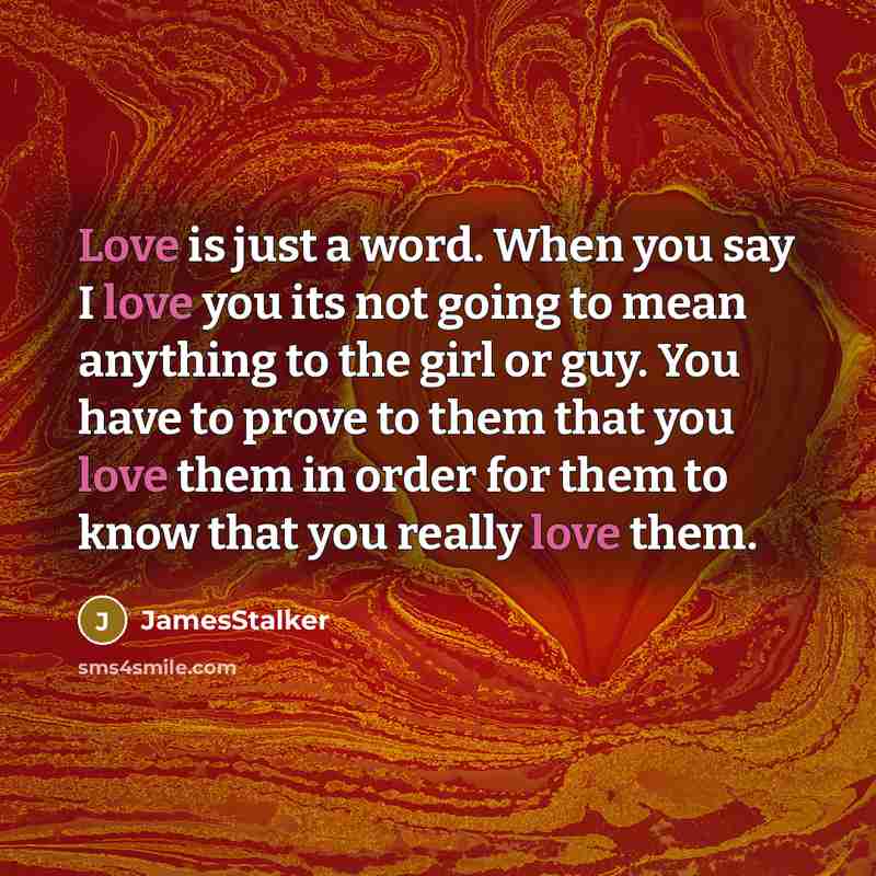 “Love is just a word. When you say I love you its not going to mean anything to the girl or guy. You have to prove to them that you love them in order for them to know that you really love them.” quote by JamesStalker