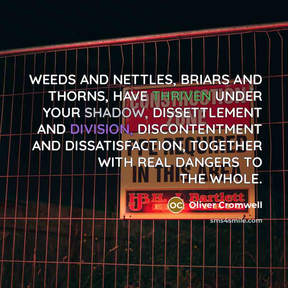 “WEEDS AND NETTLES, BRIARS AND THORNS, HAVE THRIVEN UNDER YOUR…” quote by Oliver Cromwell