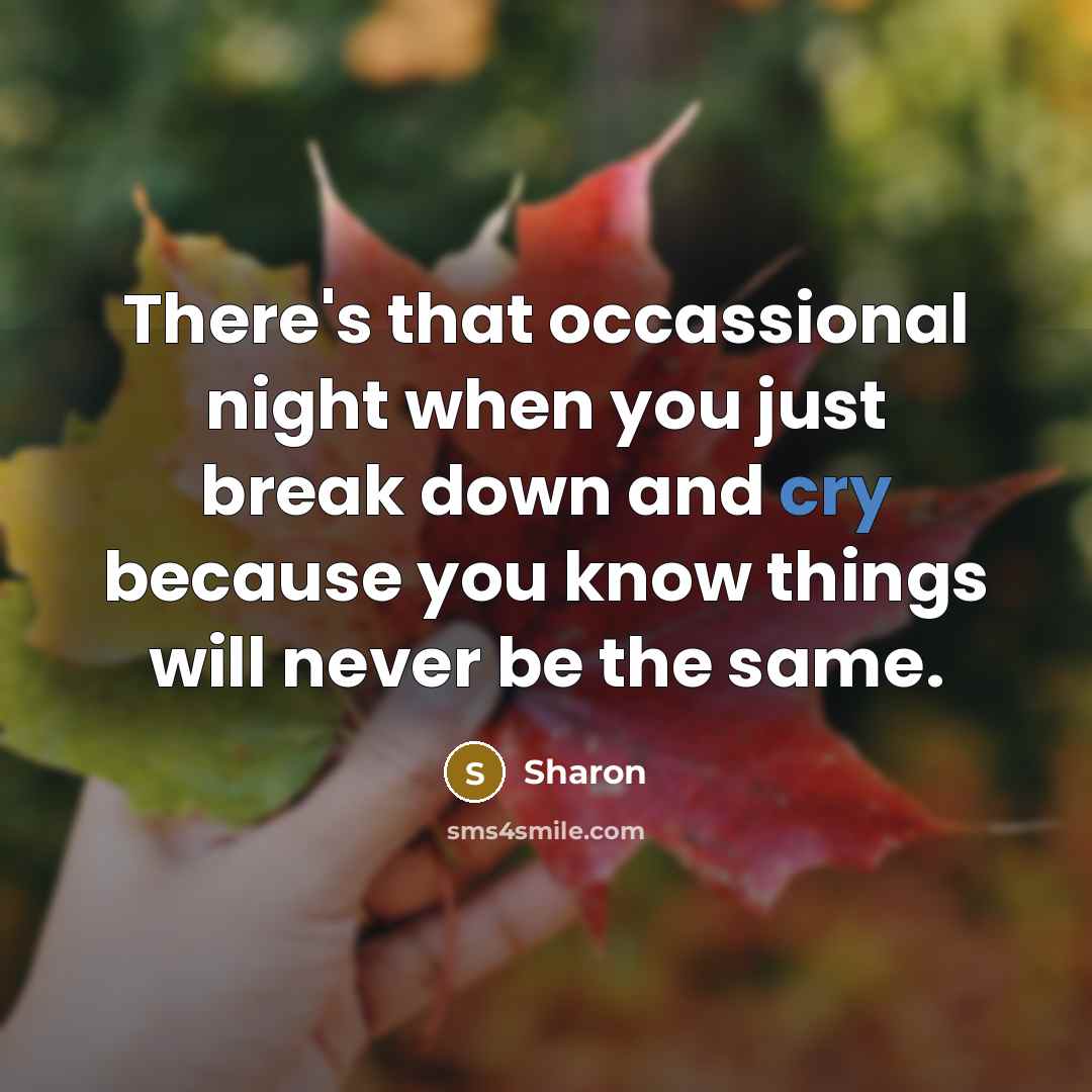 “There's that occassional night when you just break down and cry because you know things will never be the same.” quote by Sharon