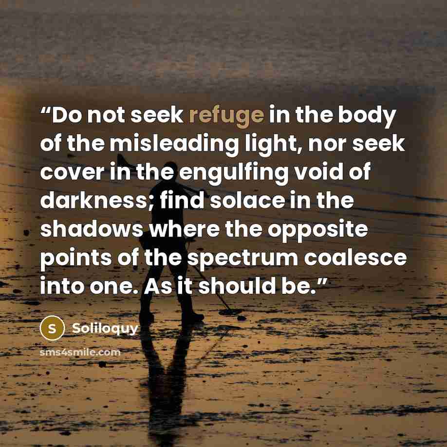 “Do not seek refuge in the body of the misleading light, nor seek cover in the engulfing void of darkness; find solace in the shadows where the opposite points of the spectrum coalesce into one. As it should be.” quote by Soliloquy