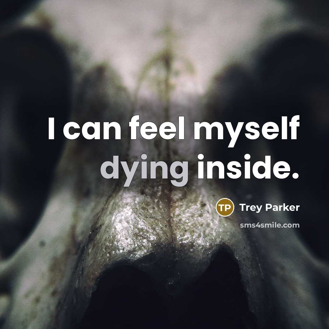 “I can feel myself dying inside.…” quote by Trey Parker