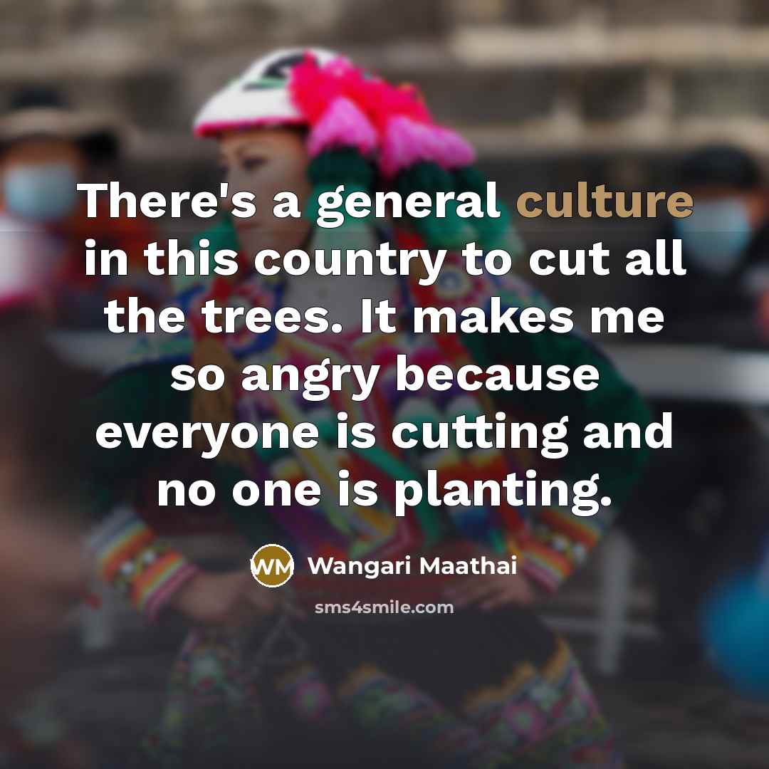 “There's a general culture in this country to cut all…” quote by Wangari Maathai