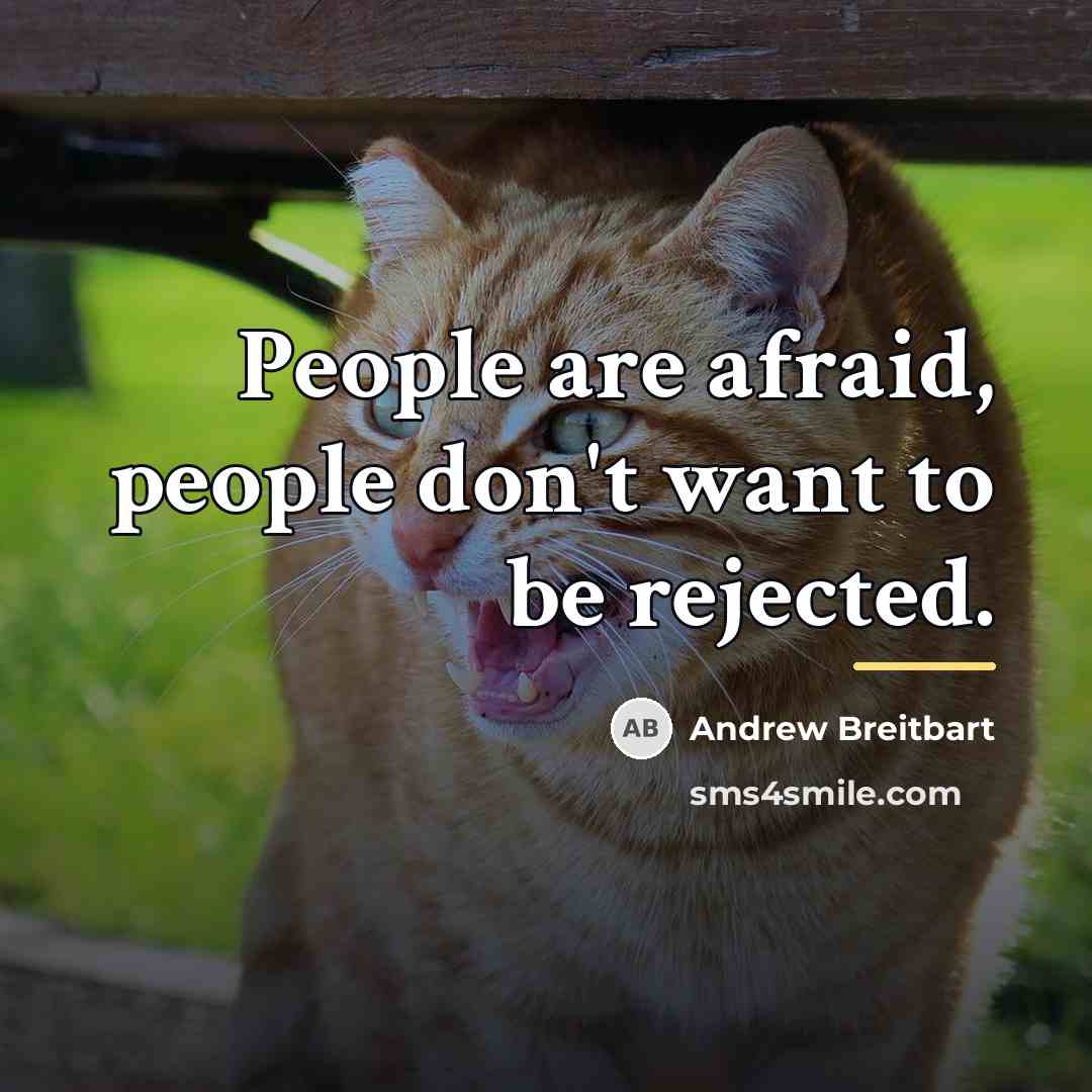 “People are afraid, people don't want to be rejected.…” quote by Andrew Breitbart