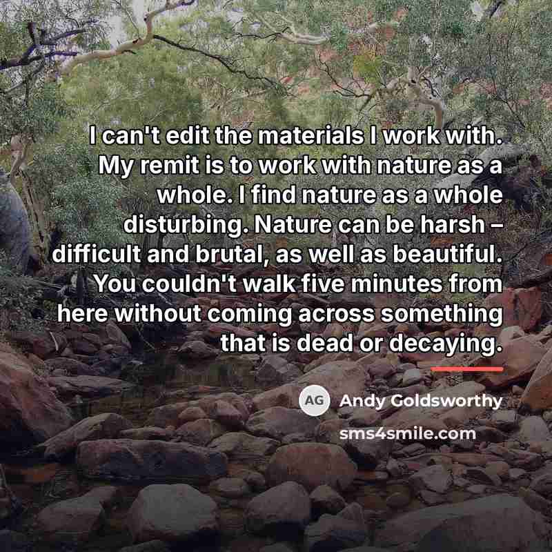 “I can't edit the materials I work with. My remit…” quote by Andy Goldsworthy